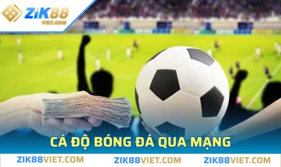 Cá độ bóng đá qua mạng