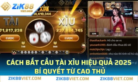 cách bắt cầu tài xỉu