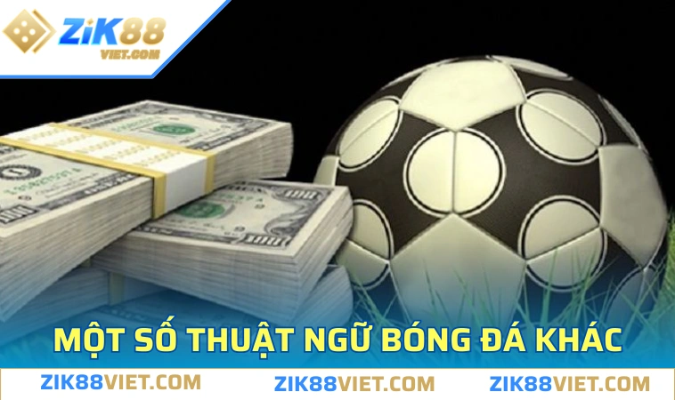 kham pha cac thuat ngu khac nhau Khám phá các thuật ngữ khác nhau