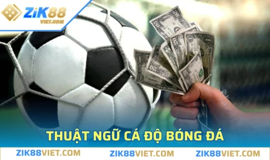 Thuật Ngữ Cá Độ Bóng Đá