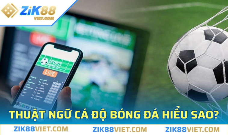 thuat ngu ca do bong da ve khai niem Thuật ngữ cá độ bóng đá về khái niệm